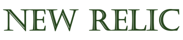 New Relic Schulungen in Deutschland