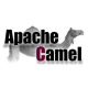 Apache Camel Schulungen in Deutschland