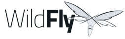 Wildfly Schulungen in Deutschland
